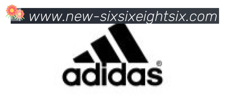 6686体育官网合作伙伴